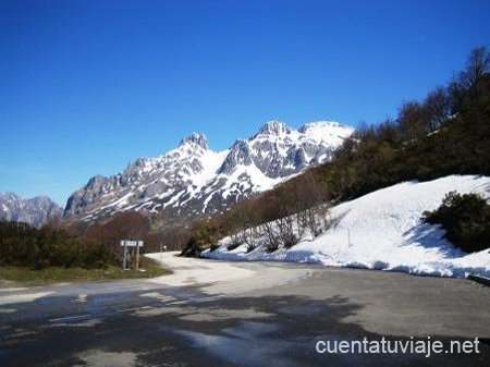 Picos de Europa